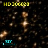 HD 306828