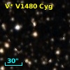 V* V1480 Cyg