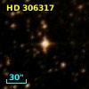 HD 306317
