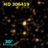 HD 306419