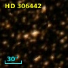 HD 306442