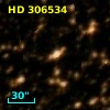 HD 306534