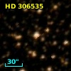 HD 306535