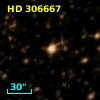 HD 306667