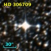 HD 306709