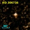 HD 306736