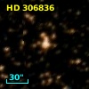 HD 306836
