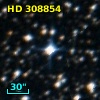 HD 308854