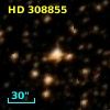 HD 308855