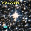 HD 100544