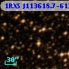 1RXS J113618.7-613101