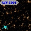 NSV  5264