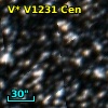 OGLE-TR 146