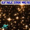Cl* NGC 3766     MG      81