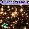 Cl* NGC 3766     MG      82