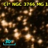Cl* NGC 3766     MG     113