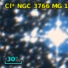 Cl* NGC 3766     MG     174