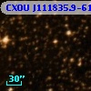 CXOU J111835.9-612645