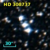 HD 308737
