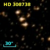 HD 308738