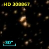HD 308867