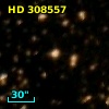 HD 308557