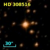 HD 308516