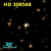 HD 308568