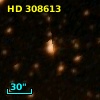 HD 308613