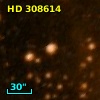 HD 308614