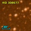HD 308677