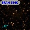 BRAN 354C