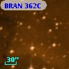 BRAN 362C