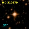 HD 310579