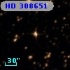 HD 308651