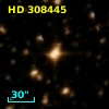 HD 308445