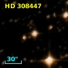 HD 308447