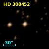 HD 308452