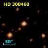 HD 308460