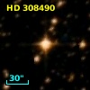 HD 308490