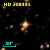 HD 308491