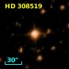 HD 308519