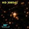 HD 308541