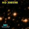 HD 308598