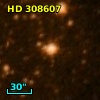 HD 308607