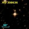 HD 308636