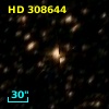 HD 308644