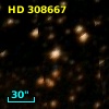 HD 308667