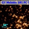 Cl* Melotte  105     PC      58