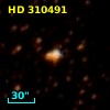 HD 310491